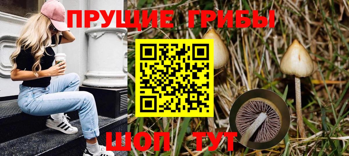 Псилоцибиновые грибы MAGIC MUSHROOMS Донецк