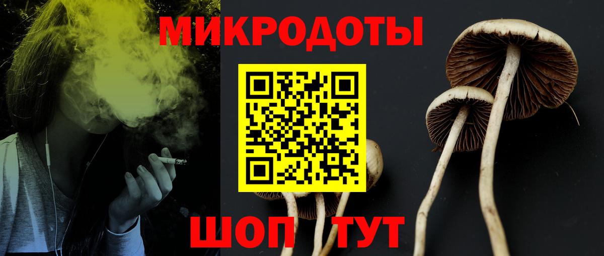 Донецк  Галлюциногенные грибы мицелий  Псилоцибиновые грибы ЛСД  Вход с VPN 